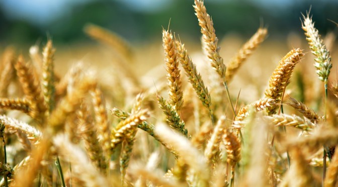 Let’s break bread together!