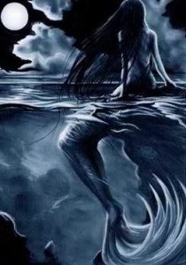 the mermaid, bestiary 4