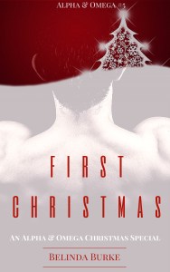 First Christmas series update cover